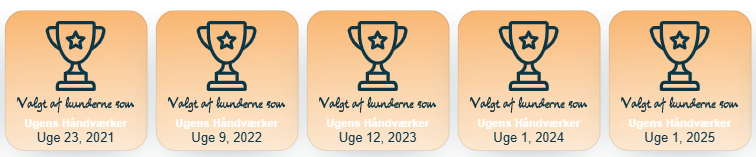 2021 - 2025 - ugens håndværker